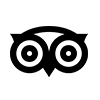 Tripadvisor icon